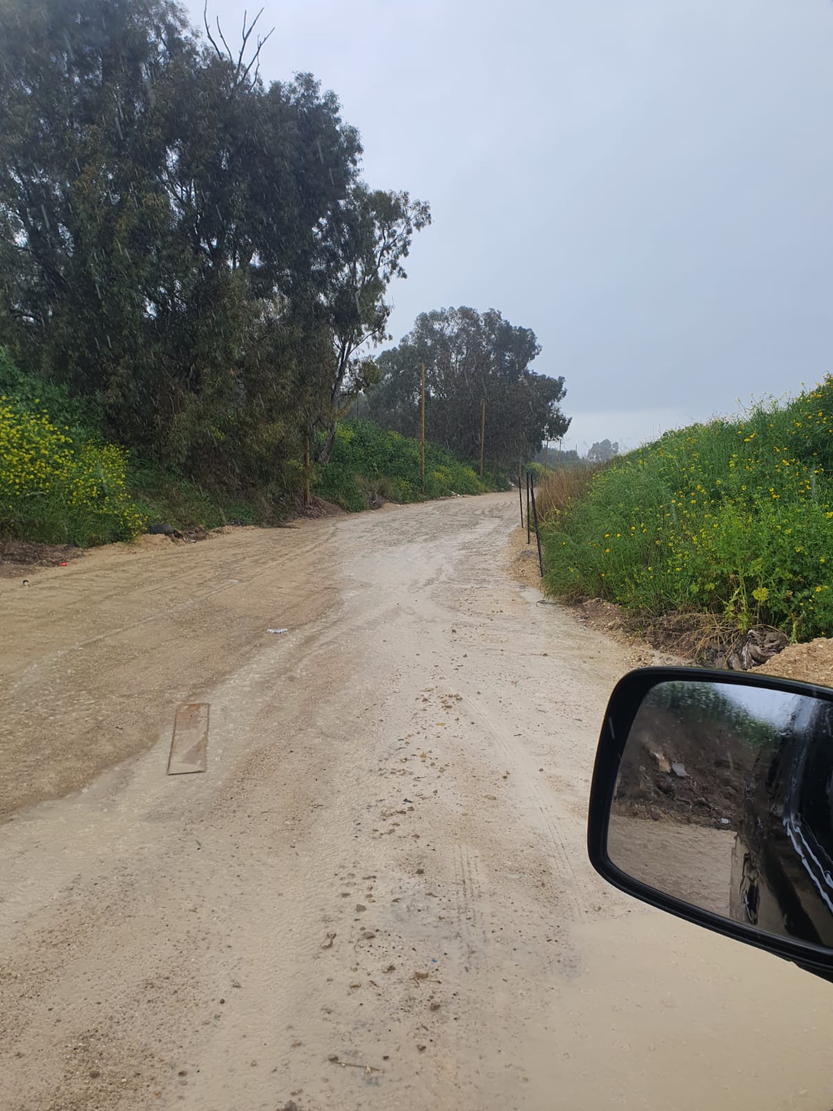 WhatsApp Image 2022-03-24 at 11.21.37 AM.jpeg